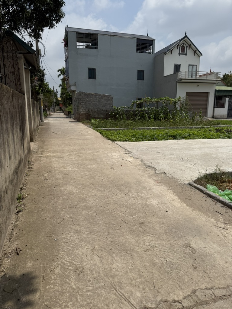 BÁN ĐẤT CHƯƠNG DƯƠNG LÔ GÓC ĐƯỜNG THÔNG